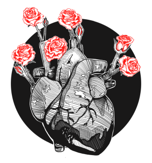 A anatomical heart with red roses coming out of it.