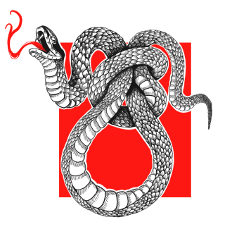 A snake with a knot in the middle of it.